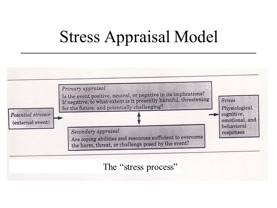 Richard lazarus and susan folkman s and stress and coping paradigm
